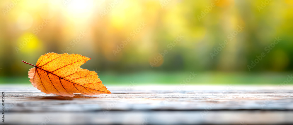 Obraz premium Single orange leaf rests on a wooden surface, illuminated by soft natural light.