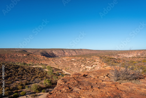 Landscape of the outback