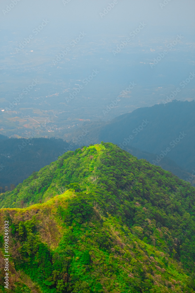 Obraz premium A breathtaking view of a lush, green mountain 