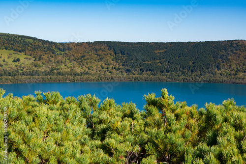 Lake surrounded by hills and bushes