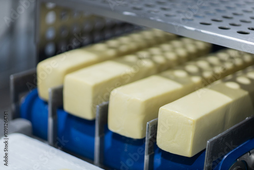 cheese factory industry 
