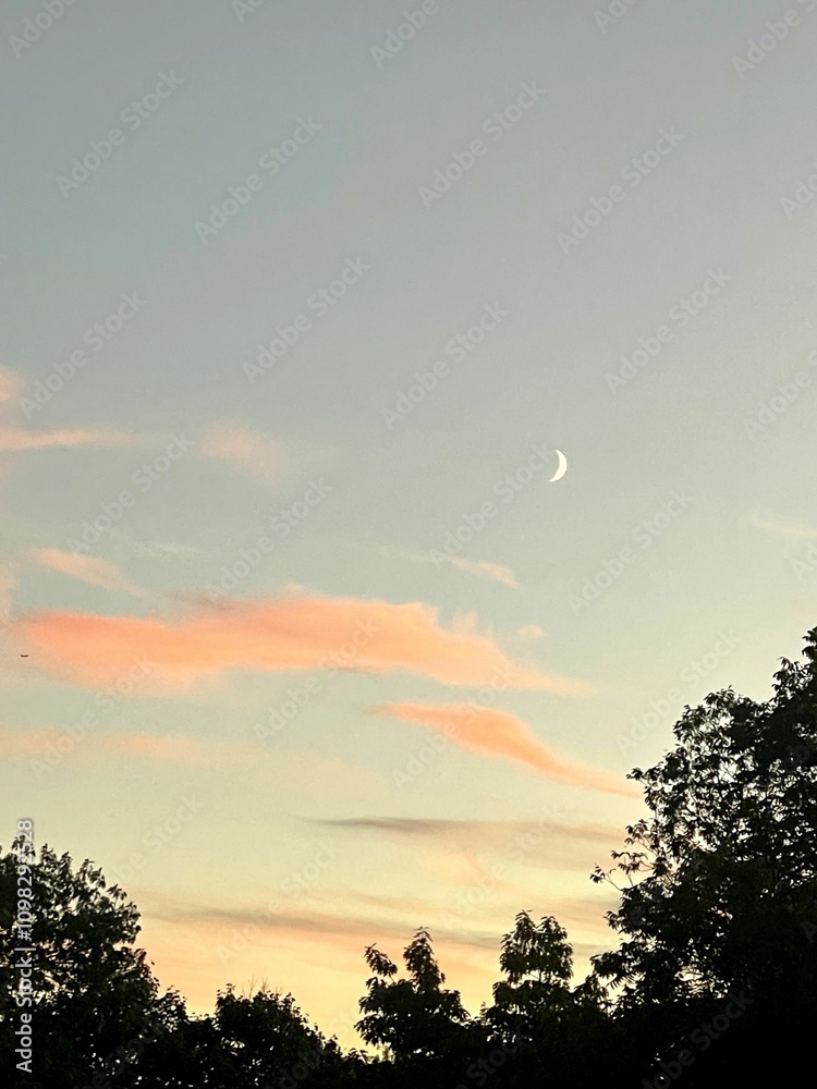 Obraz premium sunset in the sky