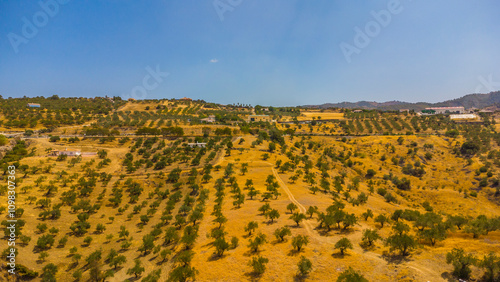 Aerial drone photo of the white village of Tolox in Spain photo