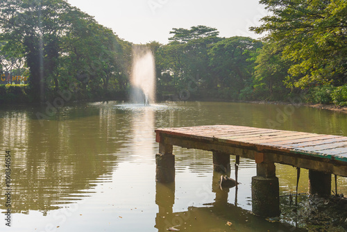 Scenery of Morning at Kebun Bibit Wonorejo Park with Lake Reflection.
 photo