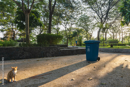 Beautiful morning light in public park with green grass park, green tree plant, and jogging track, at Kebun Bibit Wonorejo, East Java, Indonesia.
 photo