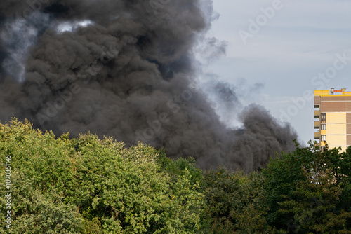 black smoke in a forest area near residential buildings in the city
