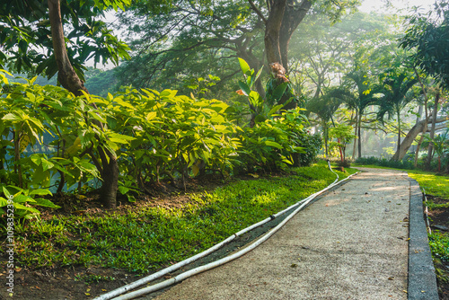 Beautiful morning light in public park with green grass park, green tree plant, and jogging track, at Kebun Bibit Wonorejo, East Java, Indonesia.
 photo