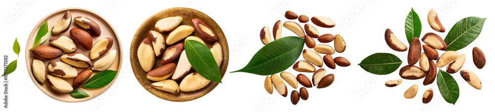 Fototapeta premium Collection of diverse pine nuts with leaves on a white isolated background.