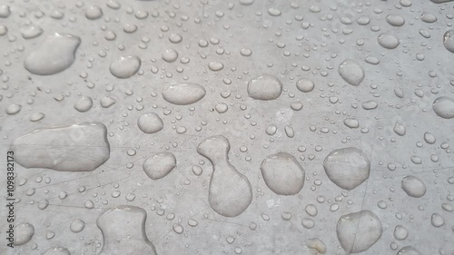 Glistening Rain Drops Captured in Sharp Detail