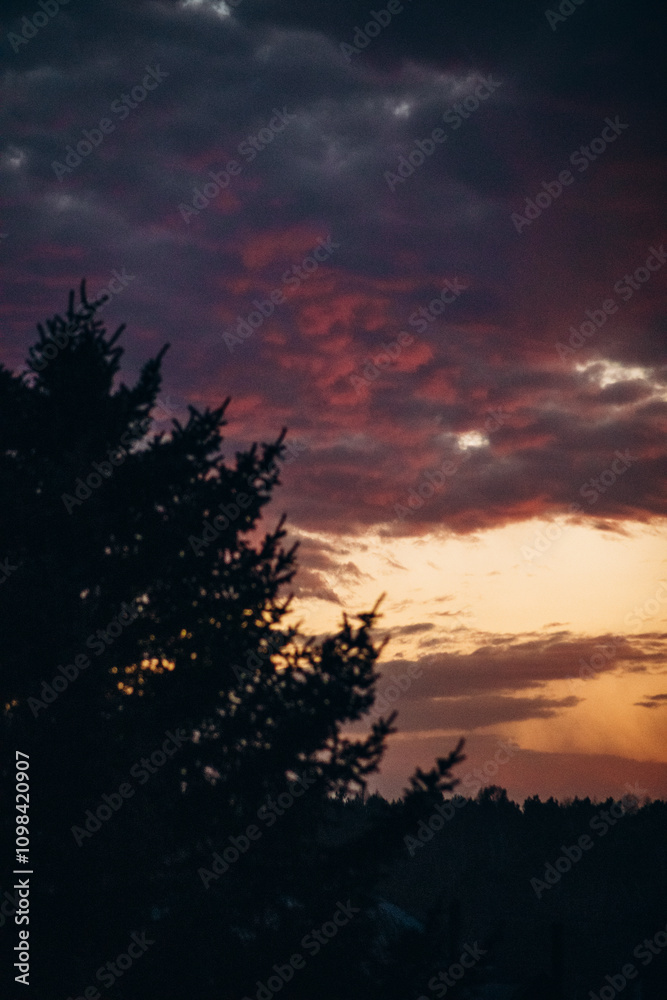 Obraz premium Multi-colored evening sky