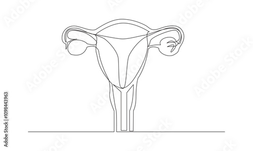 Uterus continuous one line drawing minimalist medical concept the best use for logo 