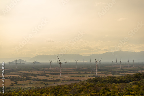 A sunset in the wind power generators filed