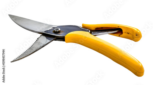 Sharp Yellow Handled Scissors with Stainless Steel Blades Isolated on White Background photo