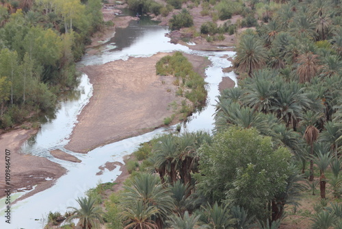 Finnt Oasis, Fint Oasis Near Ouarzazate in Morocco