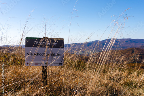 Blue Trail to Bukowe Berdo. Autumn in Bieszczady Mountains, Poland. photo