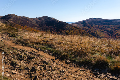 Fototapeta Naklejka Na Ścianę i Meble -  Blue Trail to Bukowe Berdo. Autumn in Bieszczady Mountains, Poland.