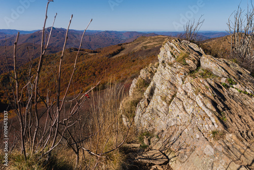 Blue Trail to Bukowe Berdo. Autumn in Bieszczady Mountains, Poland. photo