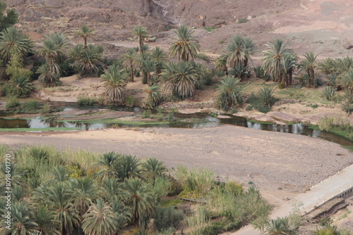 Finnt Oasis, Fint Oasis Near Ouarzazate in Morocco photo