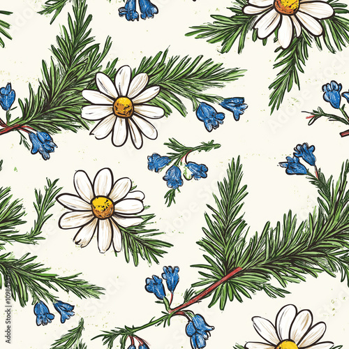 Pine needle seamless pattern with camomiles daisies and blueberries - sketch style