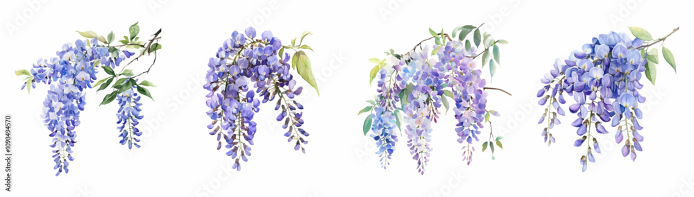 Obraz premium Watercolor set of wisteria flowers. Purple wisteria flowers with watercolor leaves on a white isolated background. Watercolor spring flowers. Wisteria for invitation designs etc. 