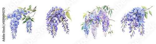 Tablou pe pânză Watercolor set of wisteria flowers