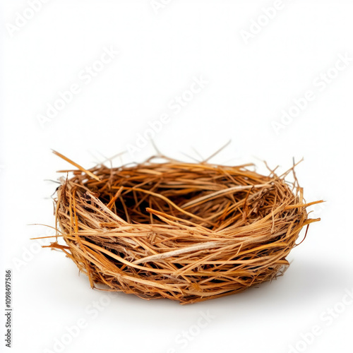Bird Nest Isolated