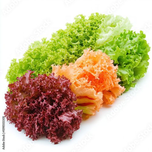 Mixed Salad Isolated