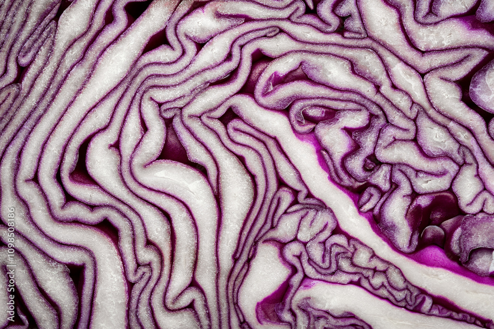 Obraz premium Purple cabbage. Full frame cabbage cut. Cabbage texture