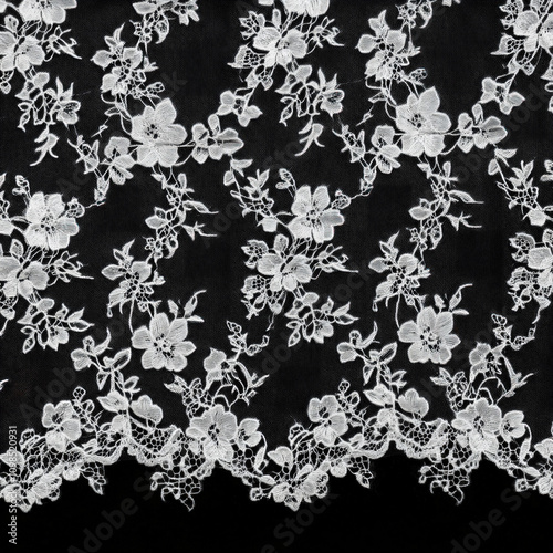 Lace Ribbon Isolated