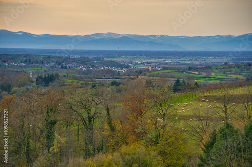 Ortenau im Spätherbst