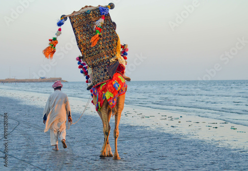 Camels in Seaview, Karachi - An old man  walking beside a decorated camel.  photo
