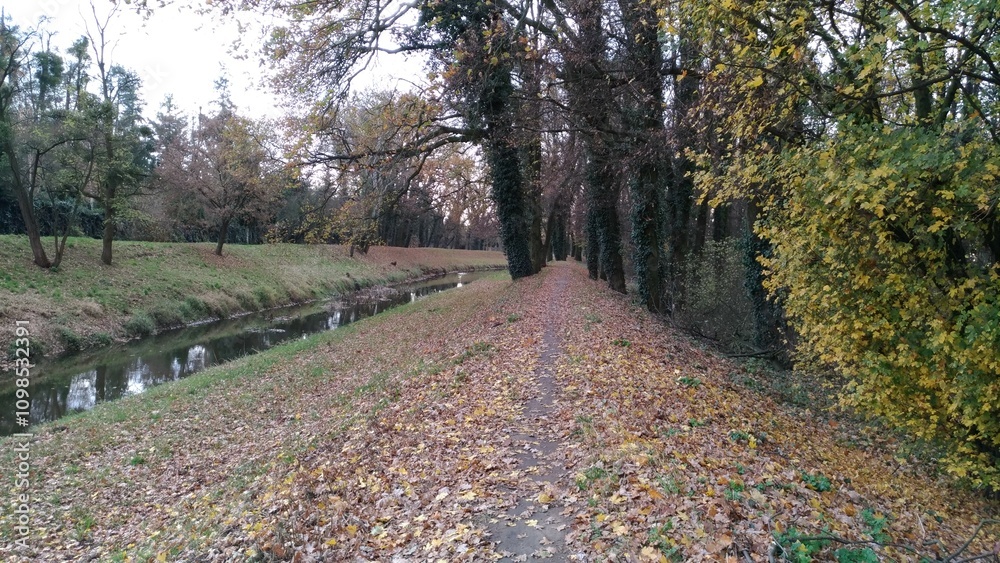 Naklejka premium path in the park