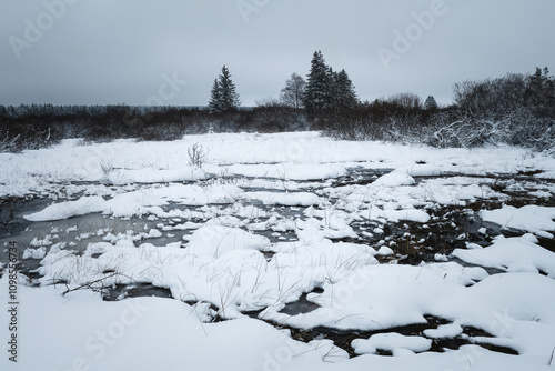 Snow in the high fens nature reserve, Belgium photo