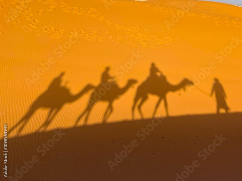 Sunset shadows of camels in the Sahara desert in Morocco photo