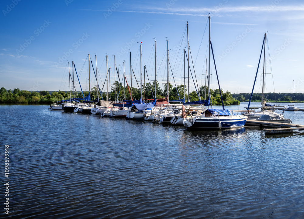 Marina with boats and ships