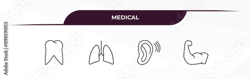 fully editable outline icon collection from medical concept. thin line icons set such as molar tooth, lungs, ear, strong,