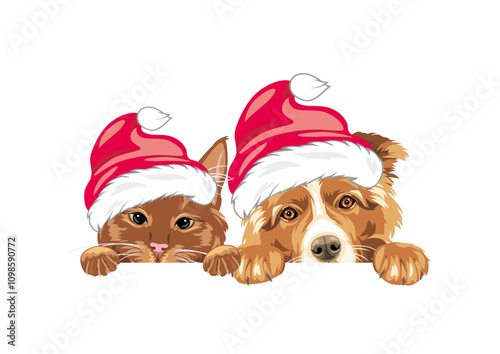 Peeking ginger cat and Border Collie dog in Santa hats