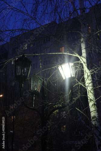 night in the park