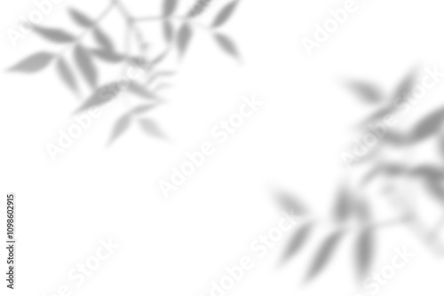 Leaf shadow overlay on white background. Shadows from branches with leaves. Overlay effect for photo, mockup, posters, wall art, design presentation. Shadow for natural light effects. photo