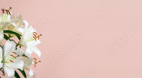 Bouquet of white lilies on a pink background, creating a soft and elegant floral arrangement