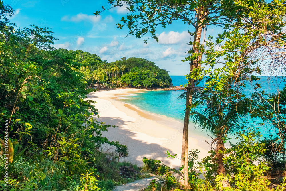Obraz premium Tropical sandy beach with turquoise waters, palm trees and green foliage under a bright blue sky with nobody. Freedom beach in Phuket island, Thailand. Summer travel destination in Asia