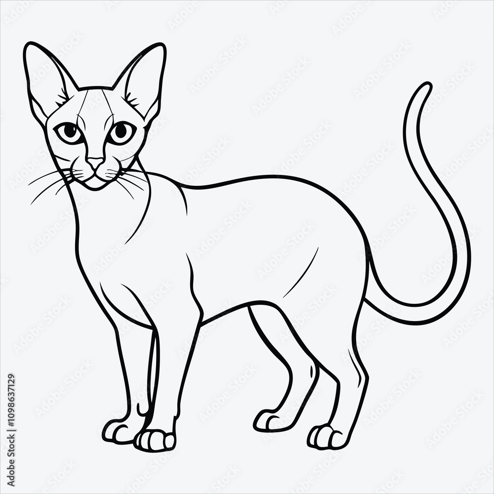 Obraz premium Abyssinian line art White background illustration Generative Ai