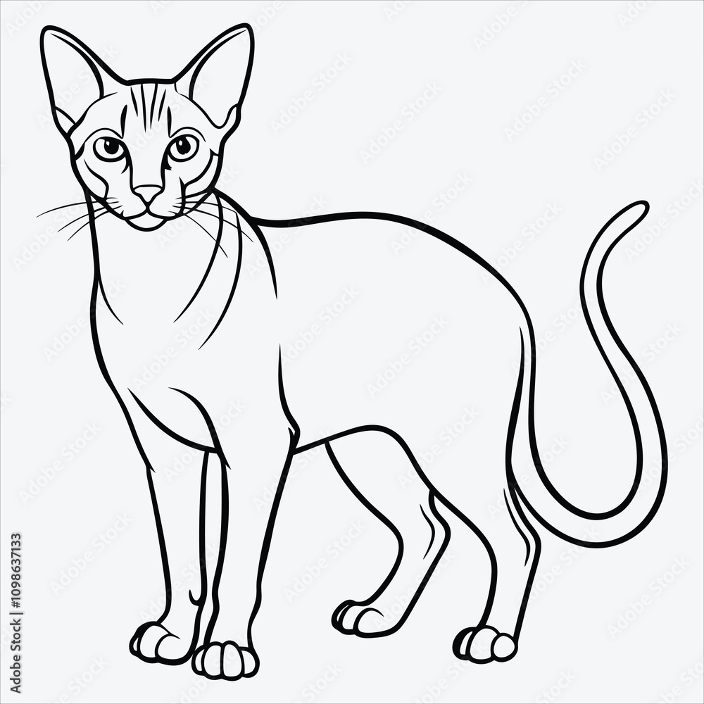 Fototapeta premium Abyssinian line art White background illustration Generative Ai