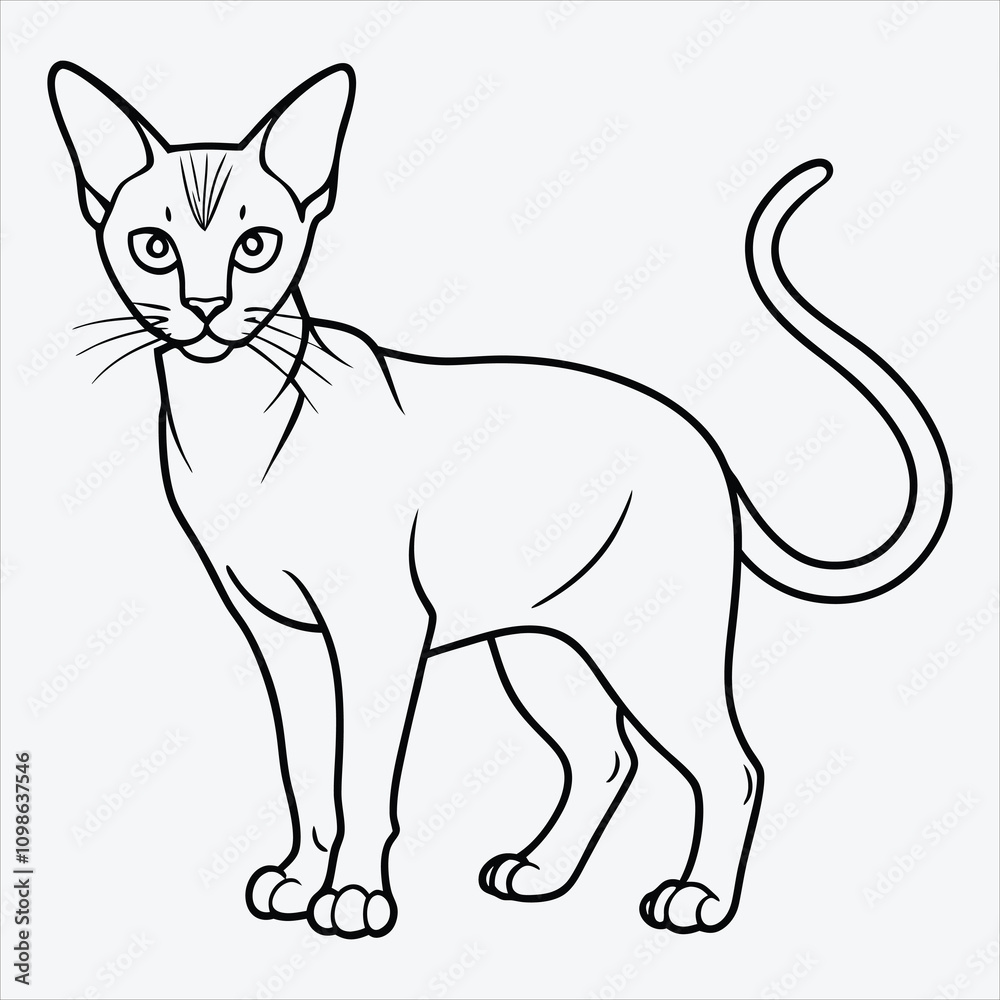 Fototapeta premium Abyssinian line art White background illustration Generative Ai
