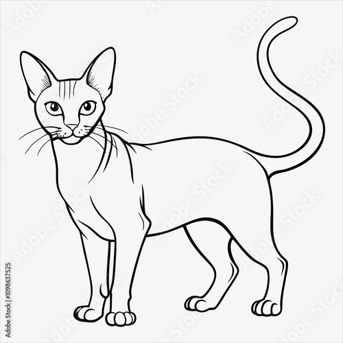 Abyssinian line art White background illustration Generative Ai