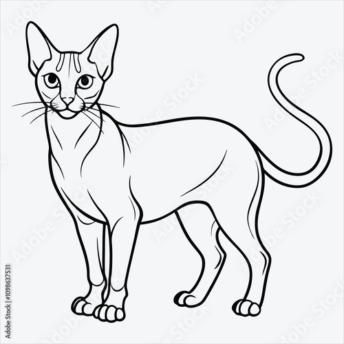 Abyssinian line art White background illustration Generative Ai