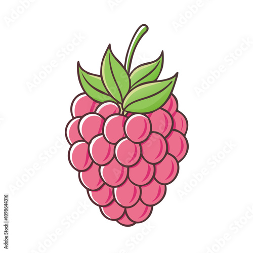raspberry with leaves, raspberry vector icon