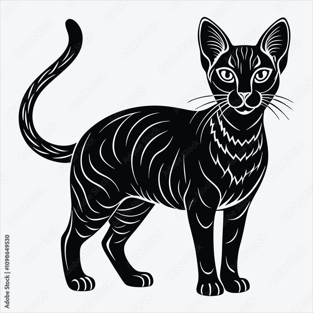 Fototapeta premium Abyssinian Silhouette White background illustration. Generative Ai