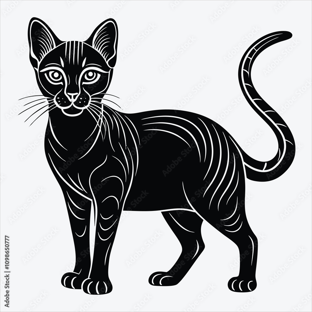 Fototapeta premium Abyssinian Silhouette White background illustration. Generative Ai