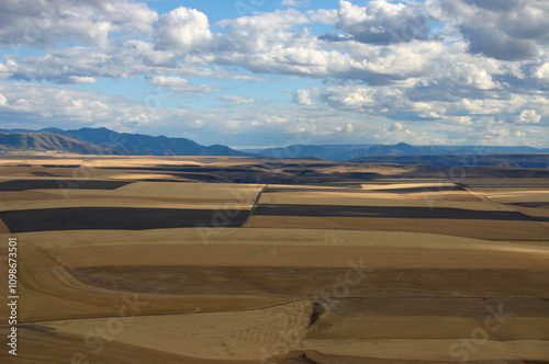 aerial drone photo of fields in autumn in the Tammany area near Lewiston ID